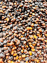 Load image into Gallery viewer, Guatemalan Ground Coffee
